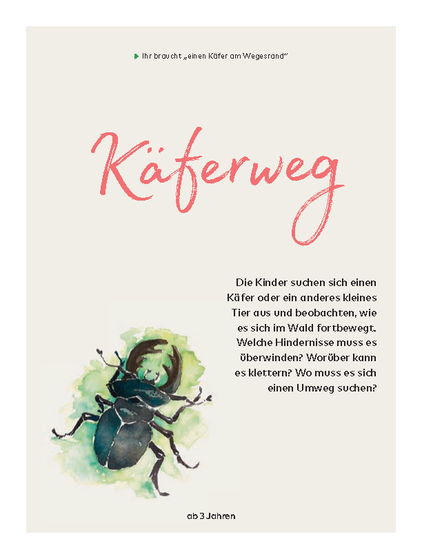 Lipplerbookz_Wir-lieben-Waldbaden4